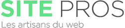 Agence web à Pusignan en Rhône-Alpes les artisans du web - Site PROS
